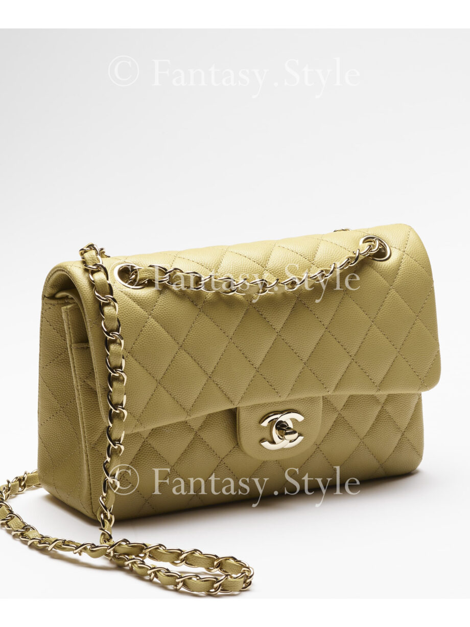 Small Classic Handbag