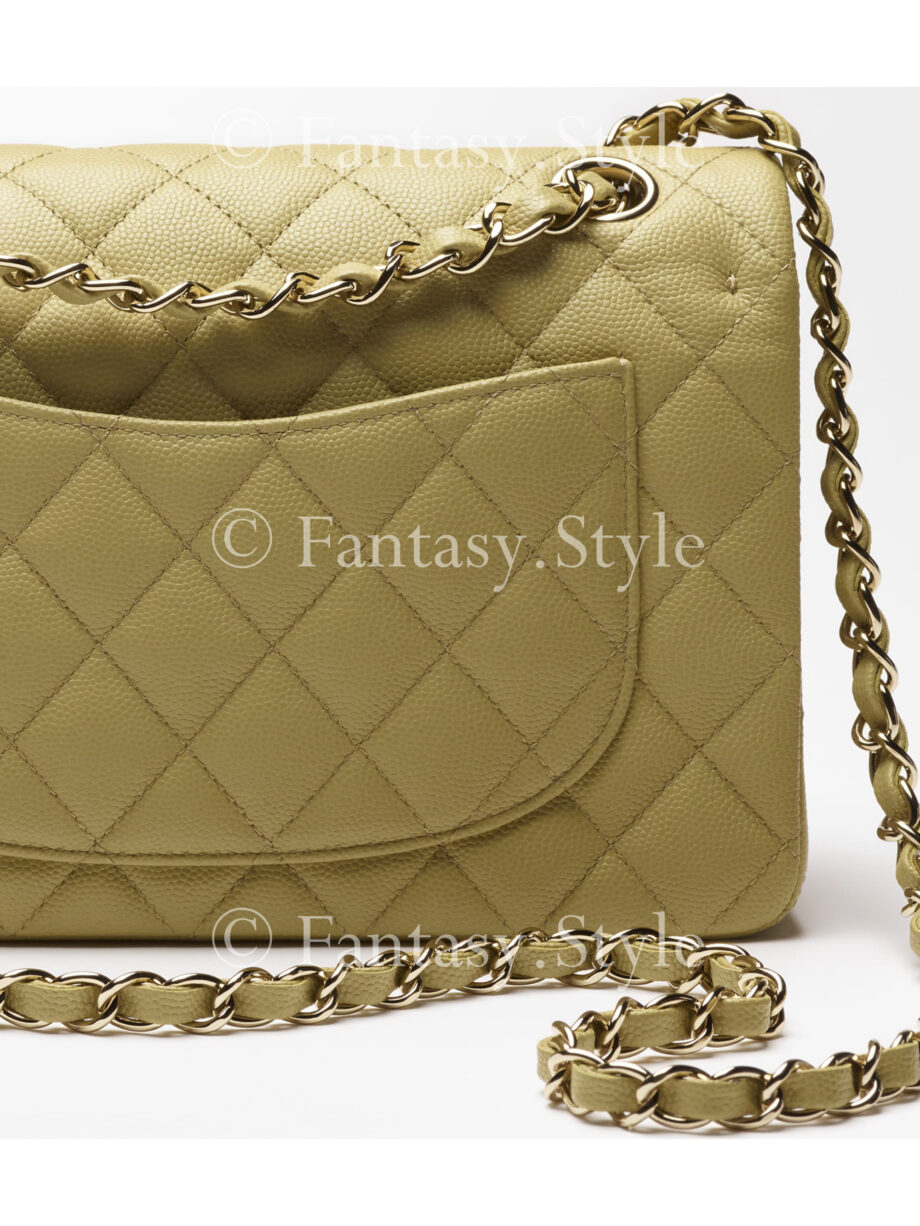 Small Classic Handbag