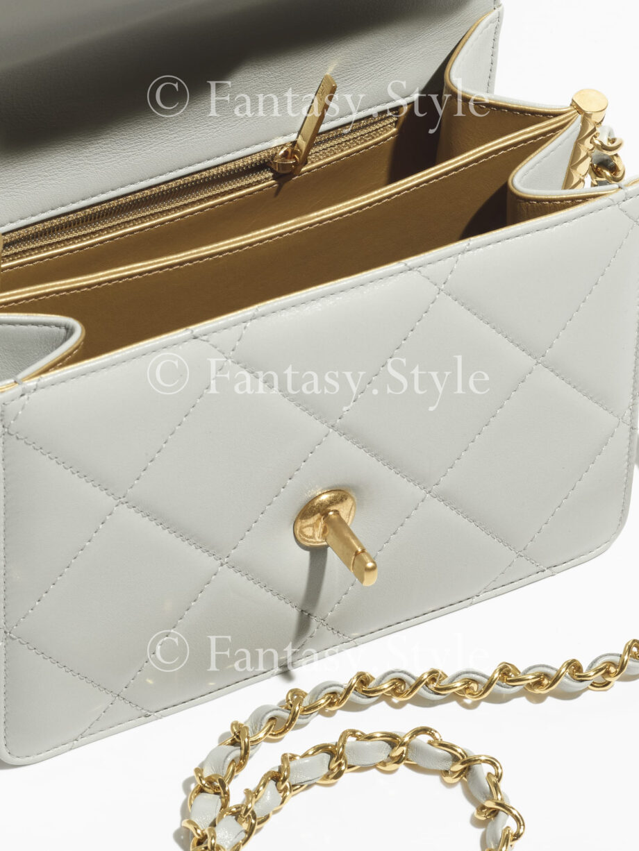 Mini Flap Bag #4