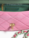 Mini Flap Bag #5
